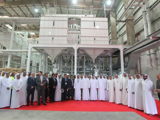 20170214_DAHRA-stroy